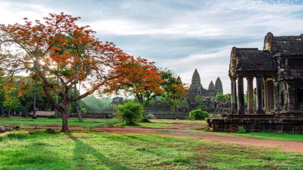 Angkor Wat and Angkor Thom 1 day tour