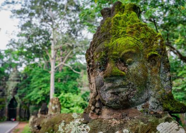 Experience the Best of Angkor Wat and Angkor Thom in One Day Tour - discovering the symbols
