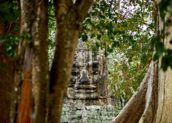 Experience the Best of Angkor Wat and Angkor Thom in One Day Tour - photo spot at Angkor Thom