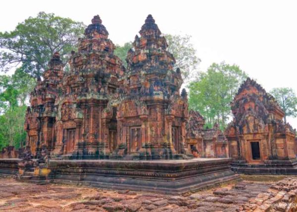1 Day-Tour to Beng Mealea, Banteay Srei, Banteay Kdei and Ta Prohm Temples